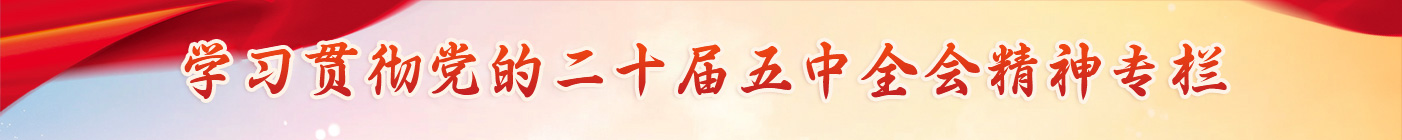 学习贯彻党的二十届五中全会精神专栏