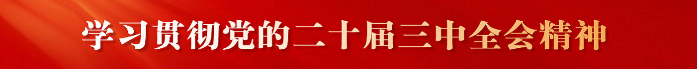 学习贯彻党的二十届三中全会精神